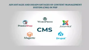 Advantages and Disadvantages of Content Management System CMS In PHP