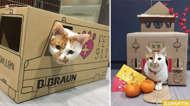 Membangun Tempat Tidur Nyaman untuk Kucing