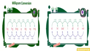 Menghitung biaya transfer data dalam mg ke mL